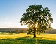 Specialties & <br>Green Solutions
